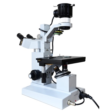 Microscopio Quasar Infinity Qm40 Invertido De Cultivo Con Cámara 5mp