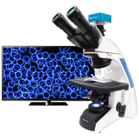 Microscopio Quasar Infinity Qm70 2500x Trinocular Con Cámara 36mp HDMI